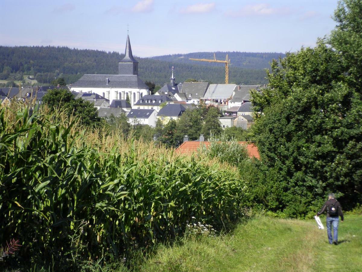 Ferienwohnung Am Weissenstaedter See Weißenstadt 外观 照片